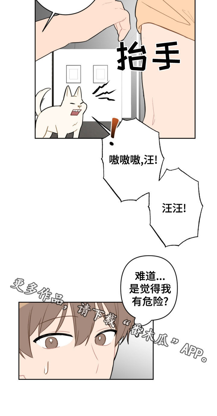 第120话19