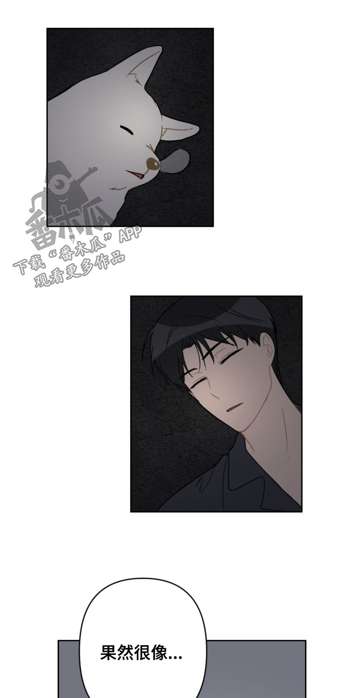第119话15