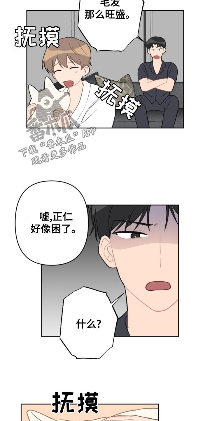 第119话4