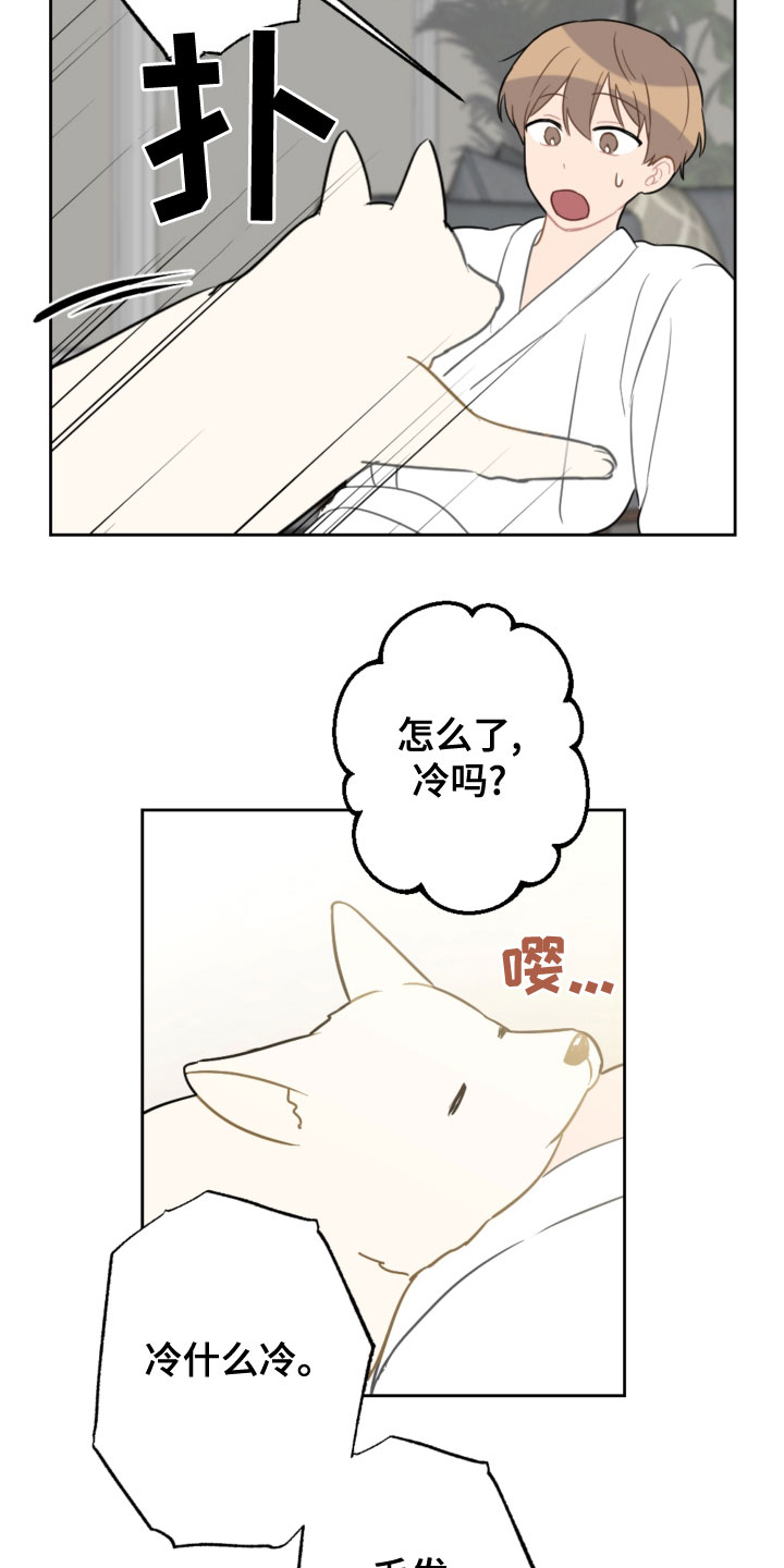 第119话3