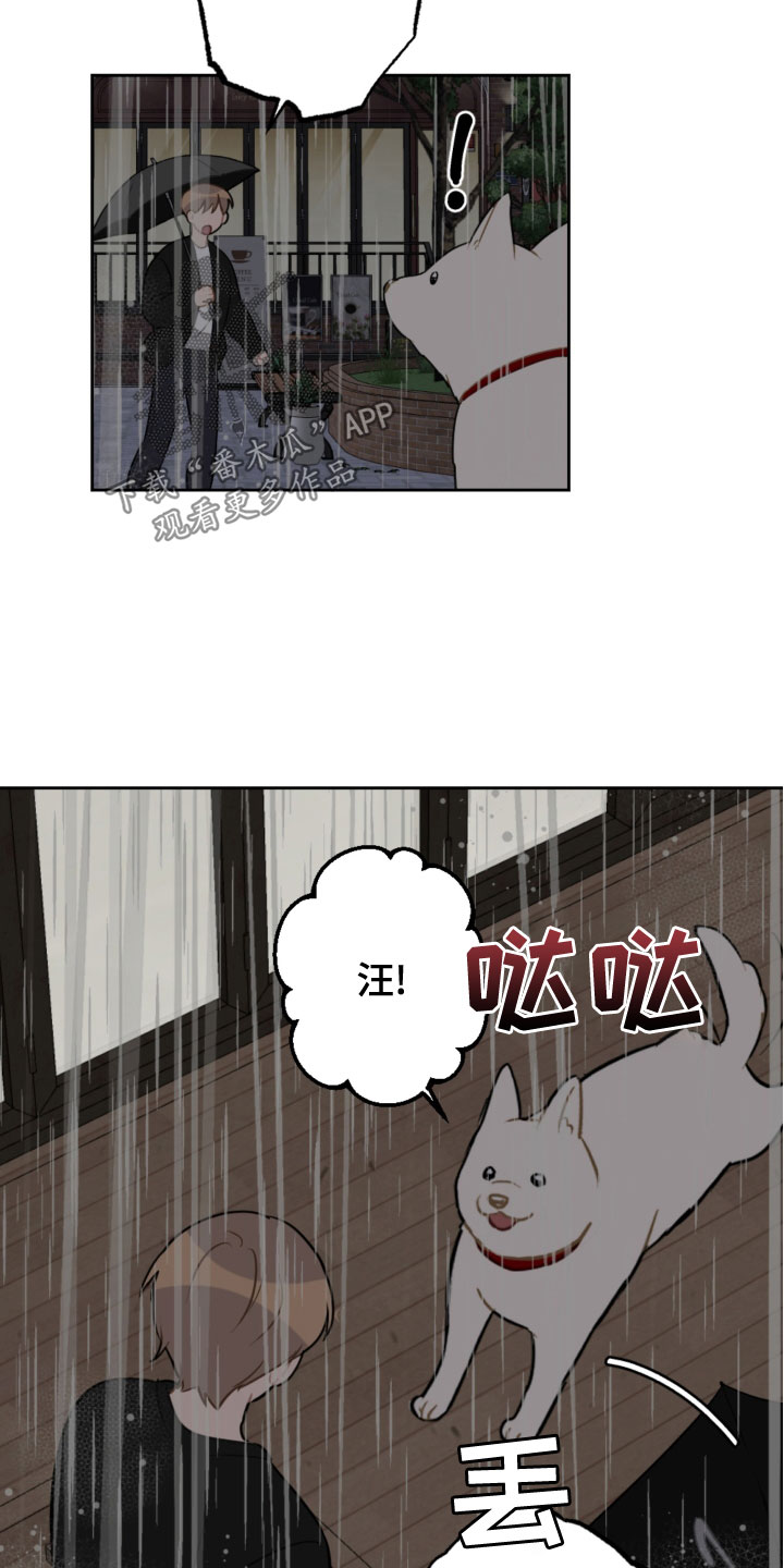 第118话15