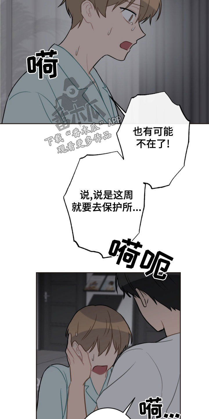 第117话13