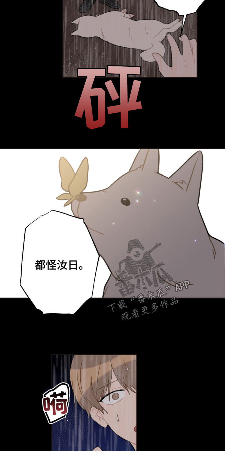 第117话7