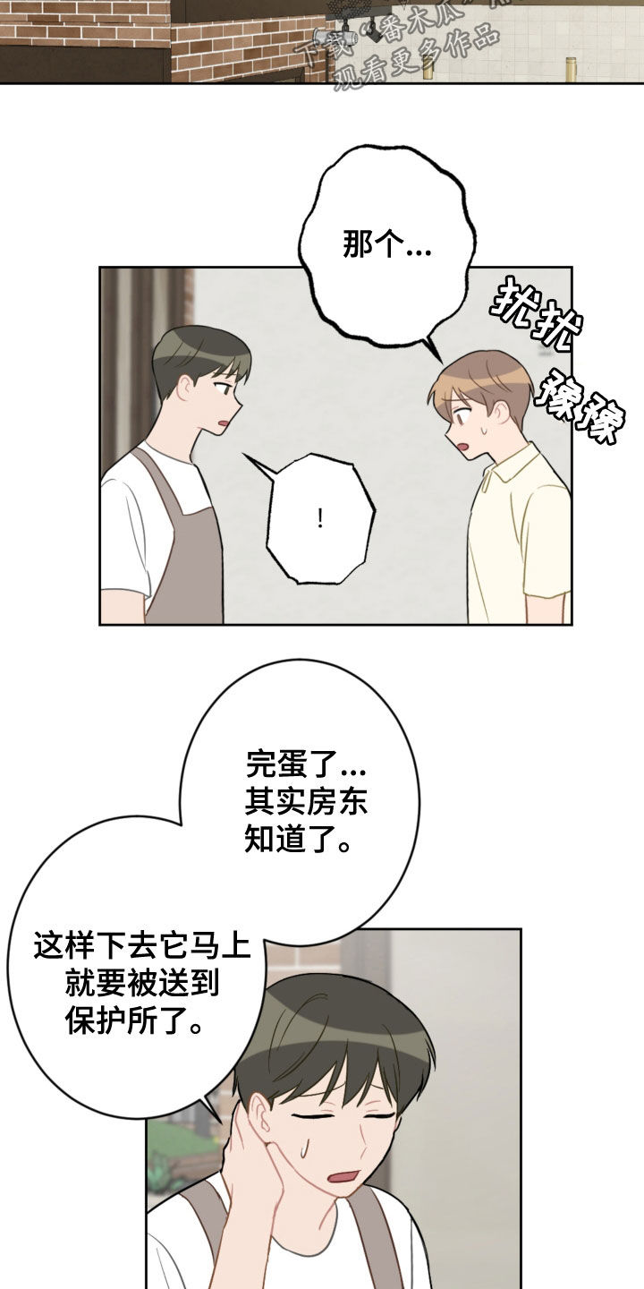 第113话4