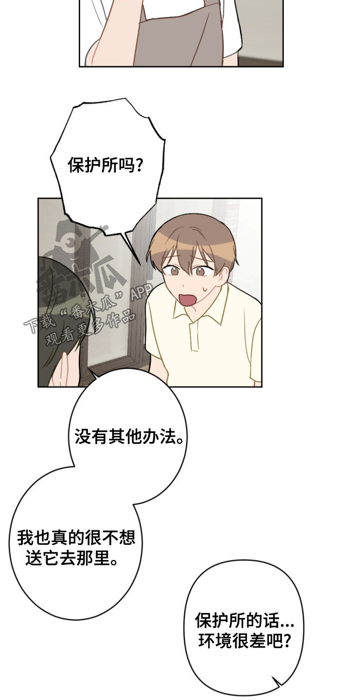 第113话5