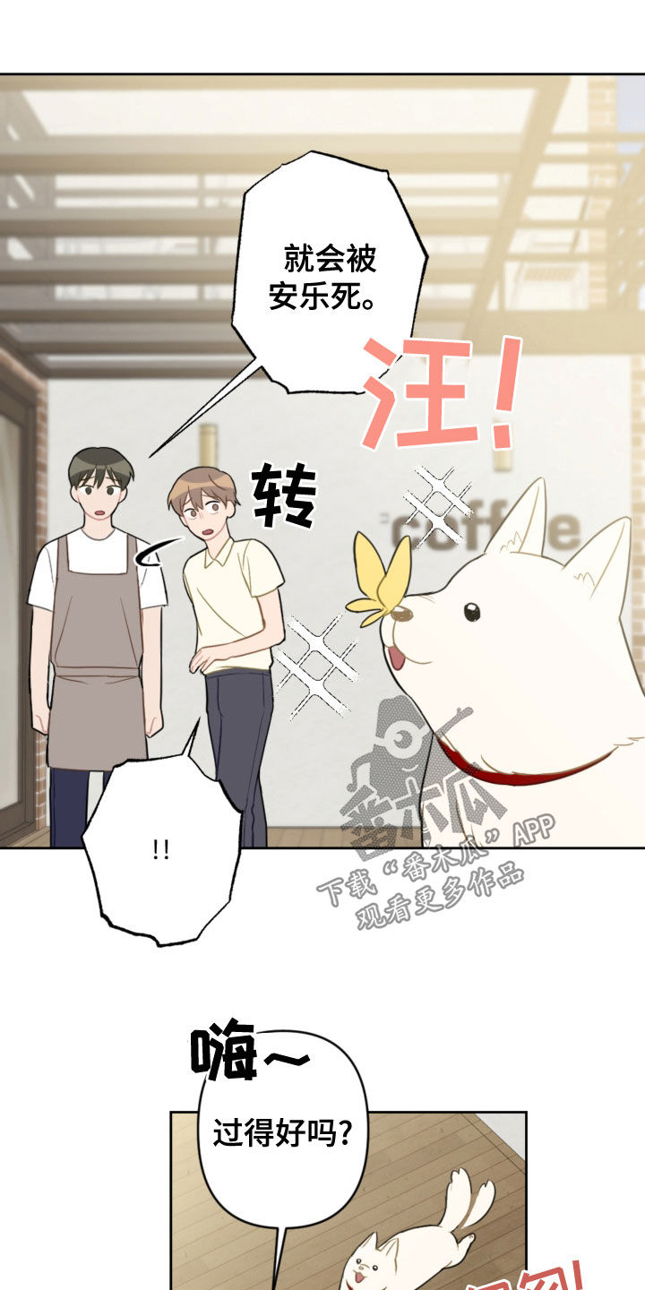 第113话7