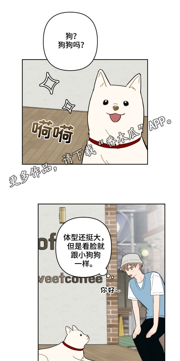 第104话0