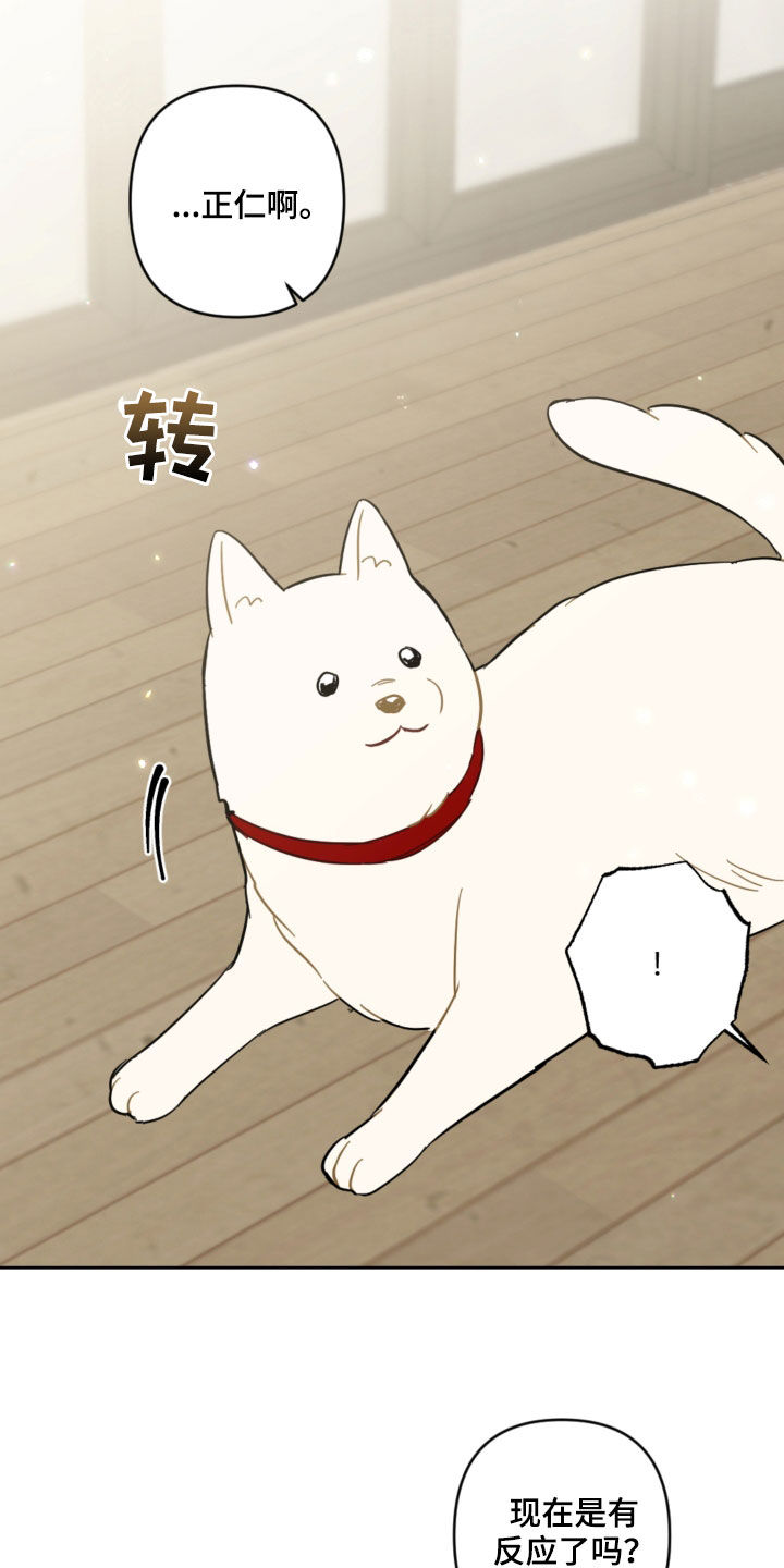 第104话6