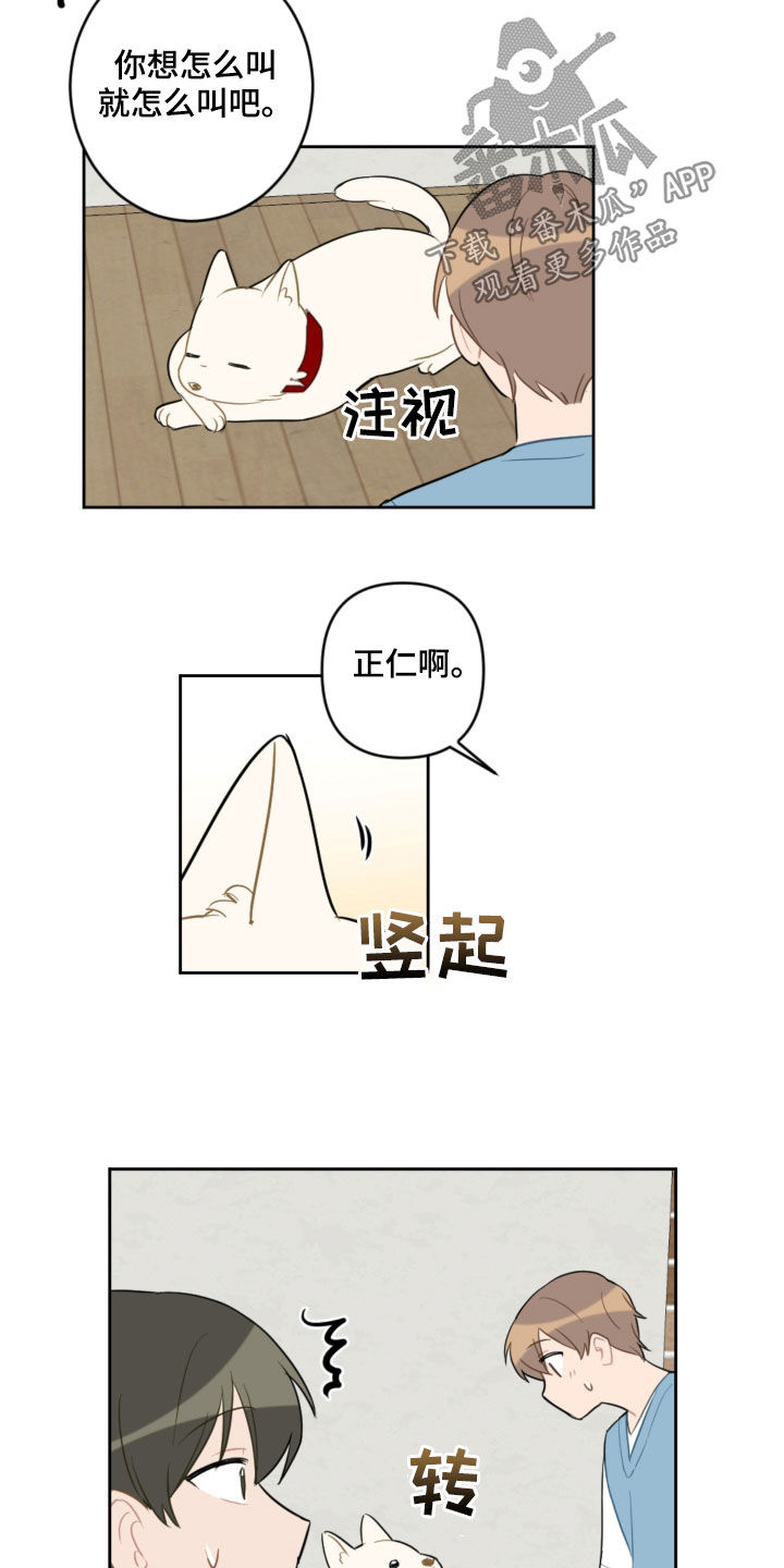 第104话14