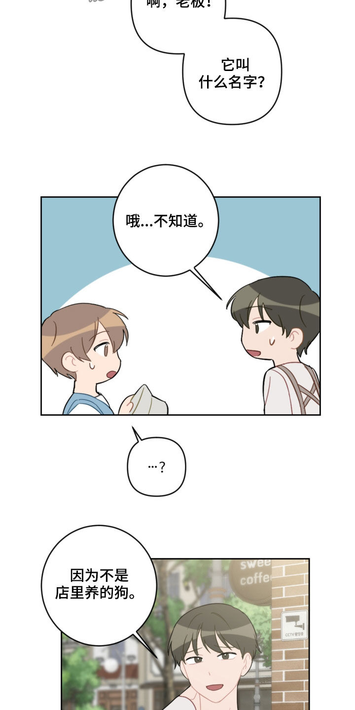 第104话8