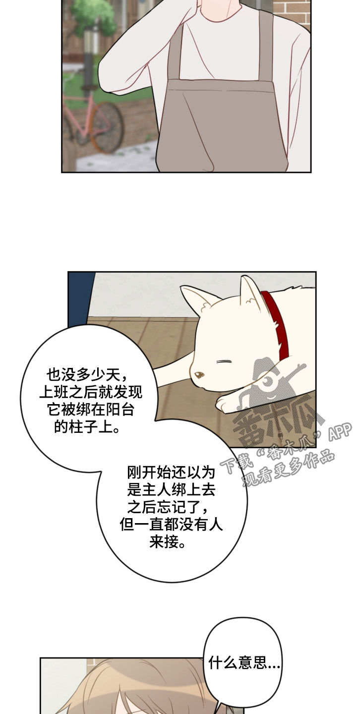 第104话9