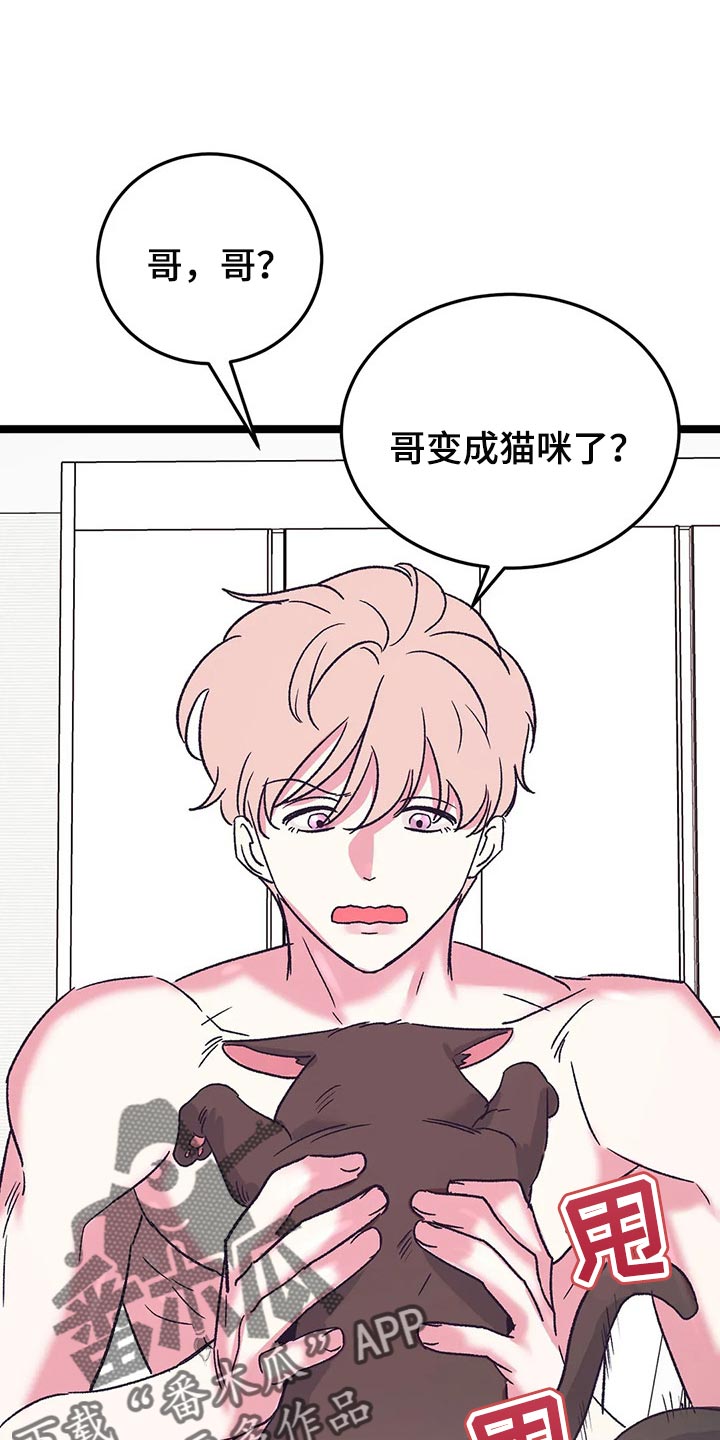 第60话0