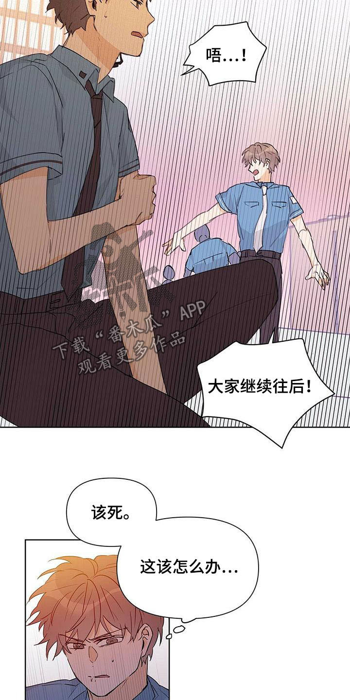 第55话13