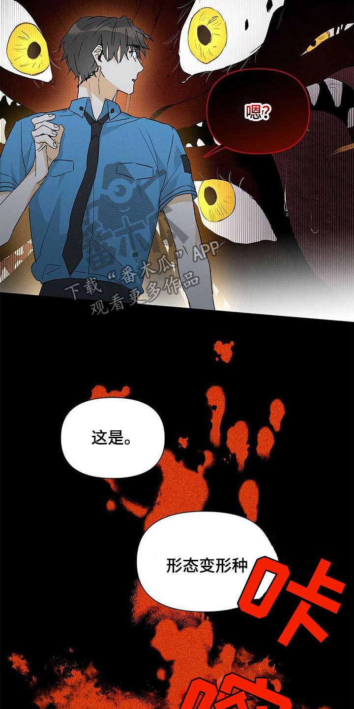 第54话5