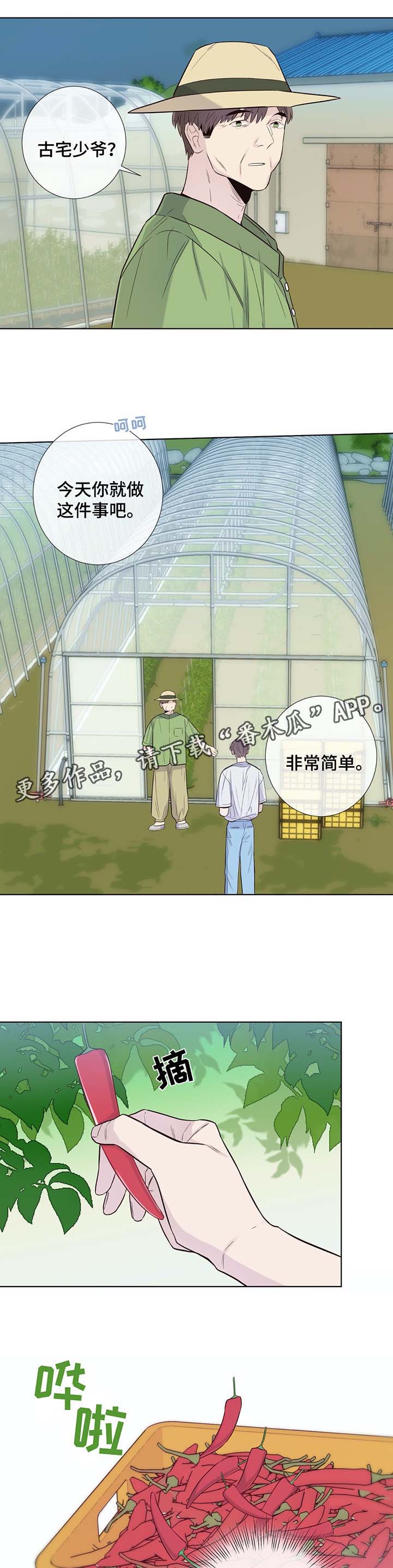 第31话3