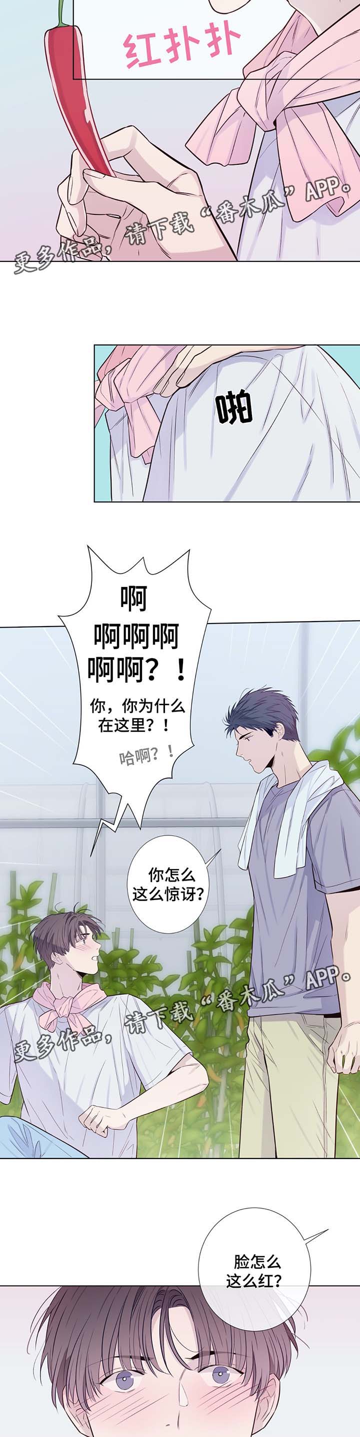 第31话9