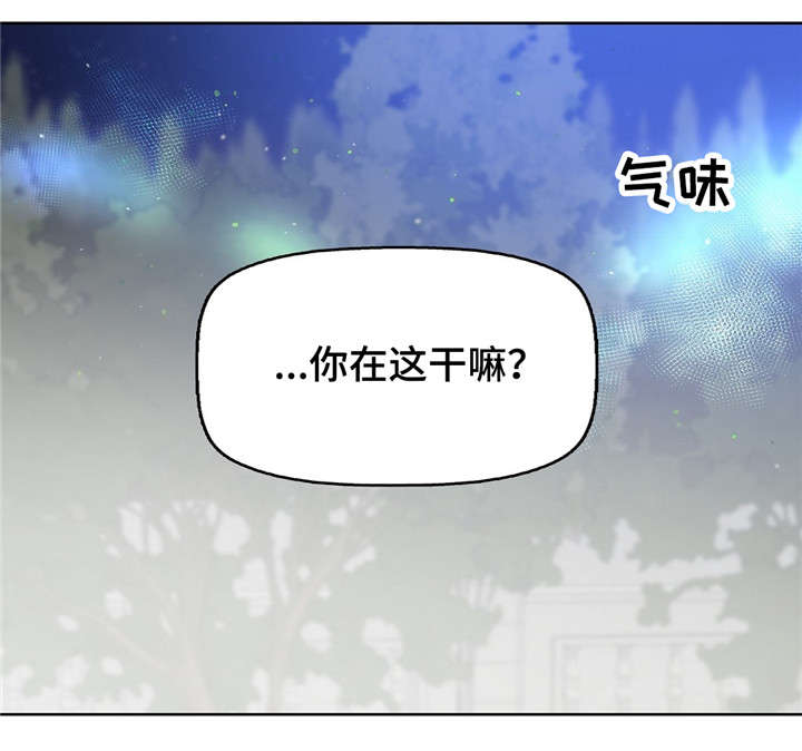 第17话11