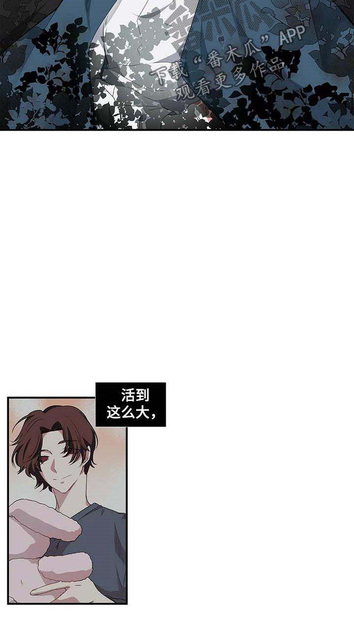 第50话3