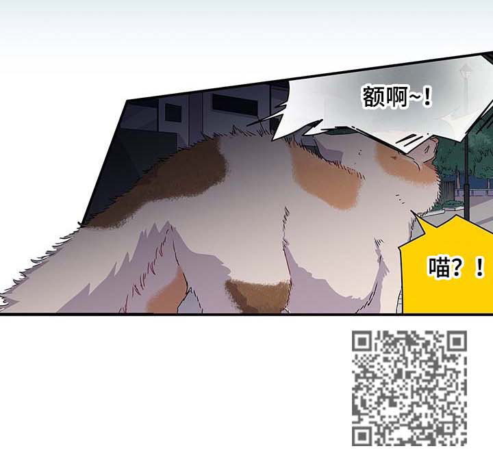 第26话5