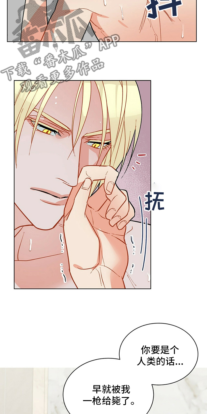 第108话11