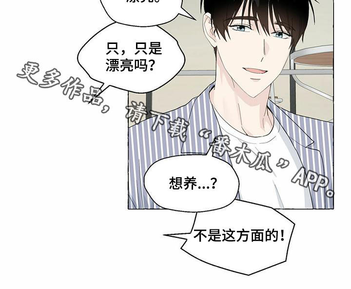 第81话17