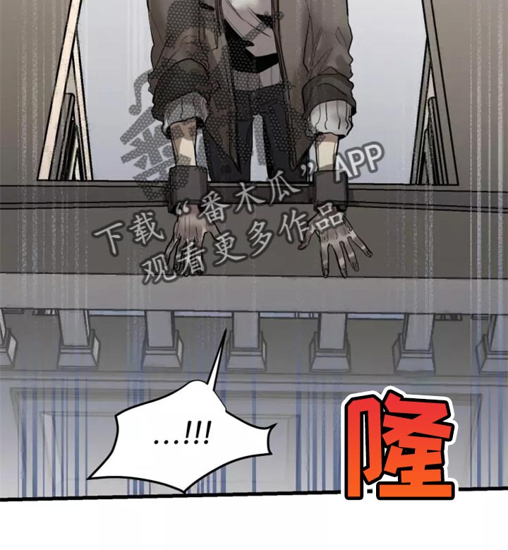 第117话12