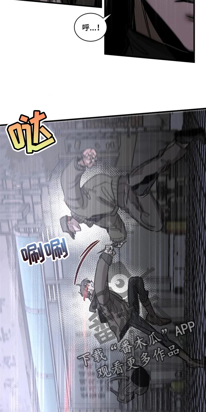 第110话11