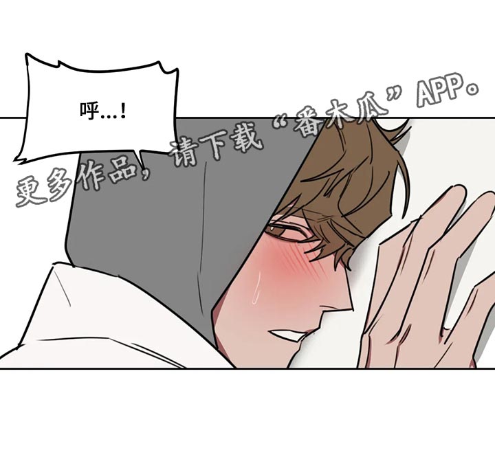 第117话12