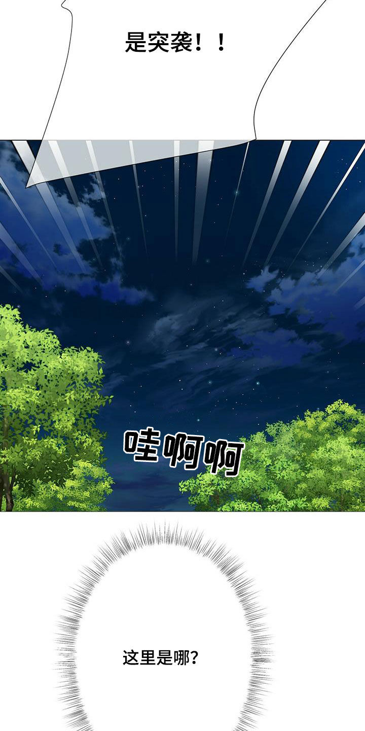 第151话17