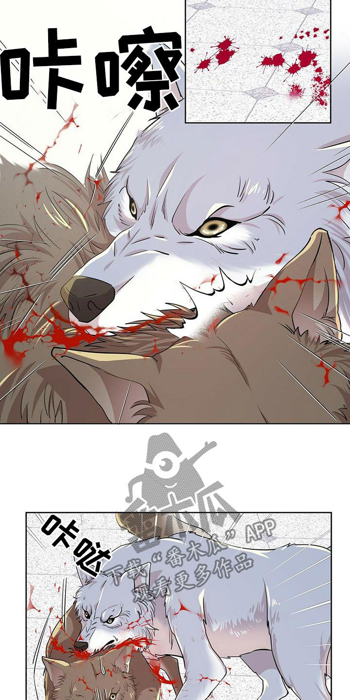 第140话13