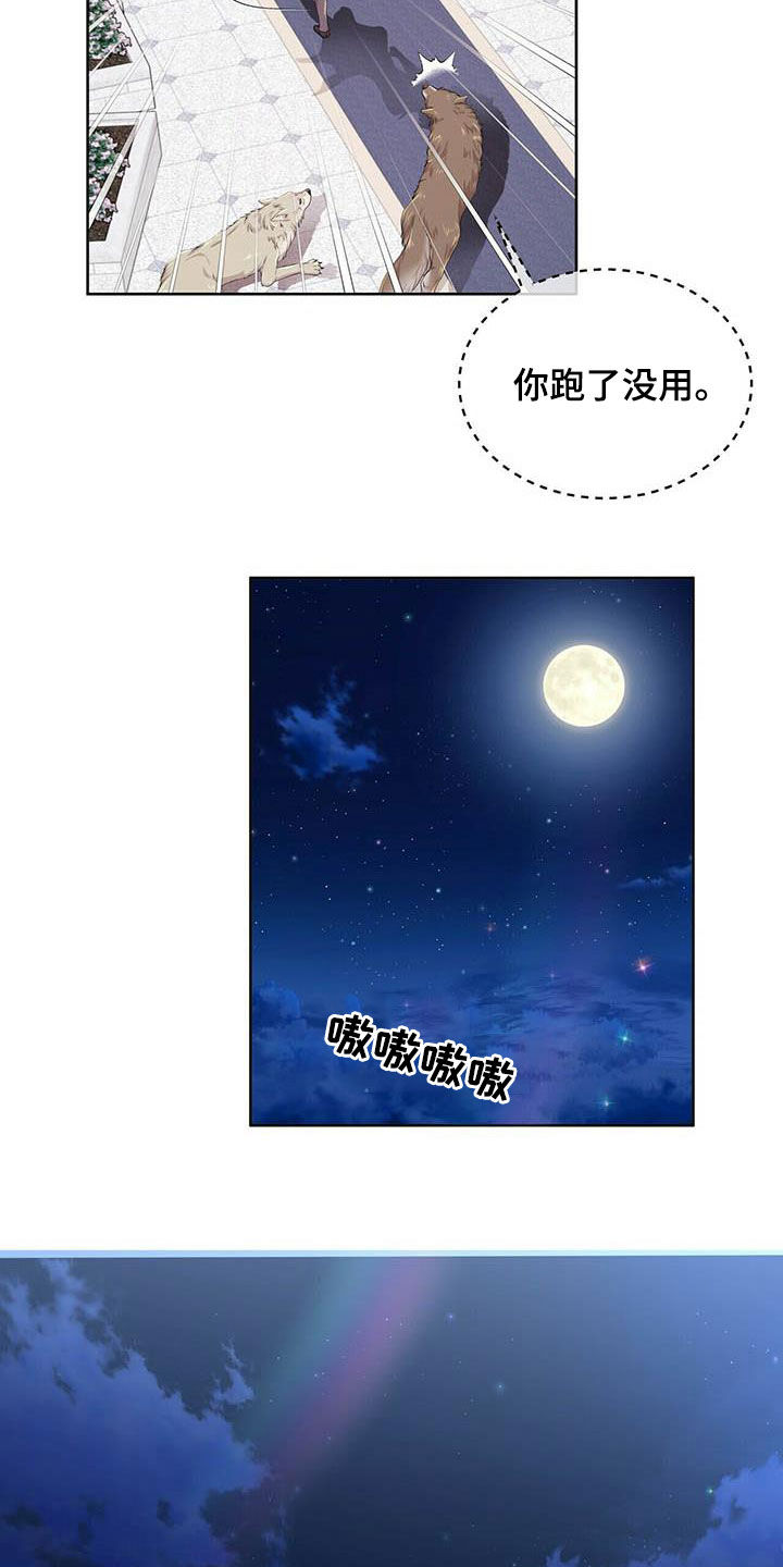 第138话17