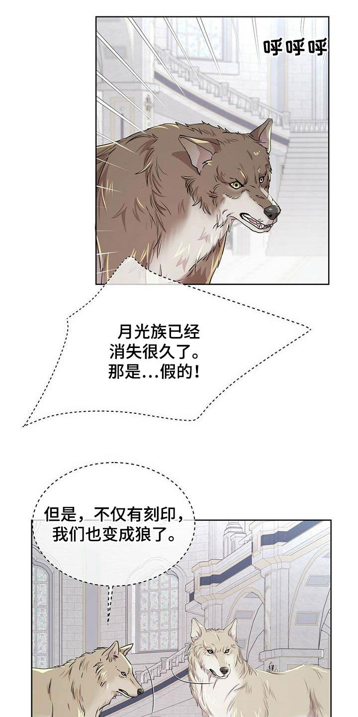 第138话4