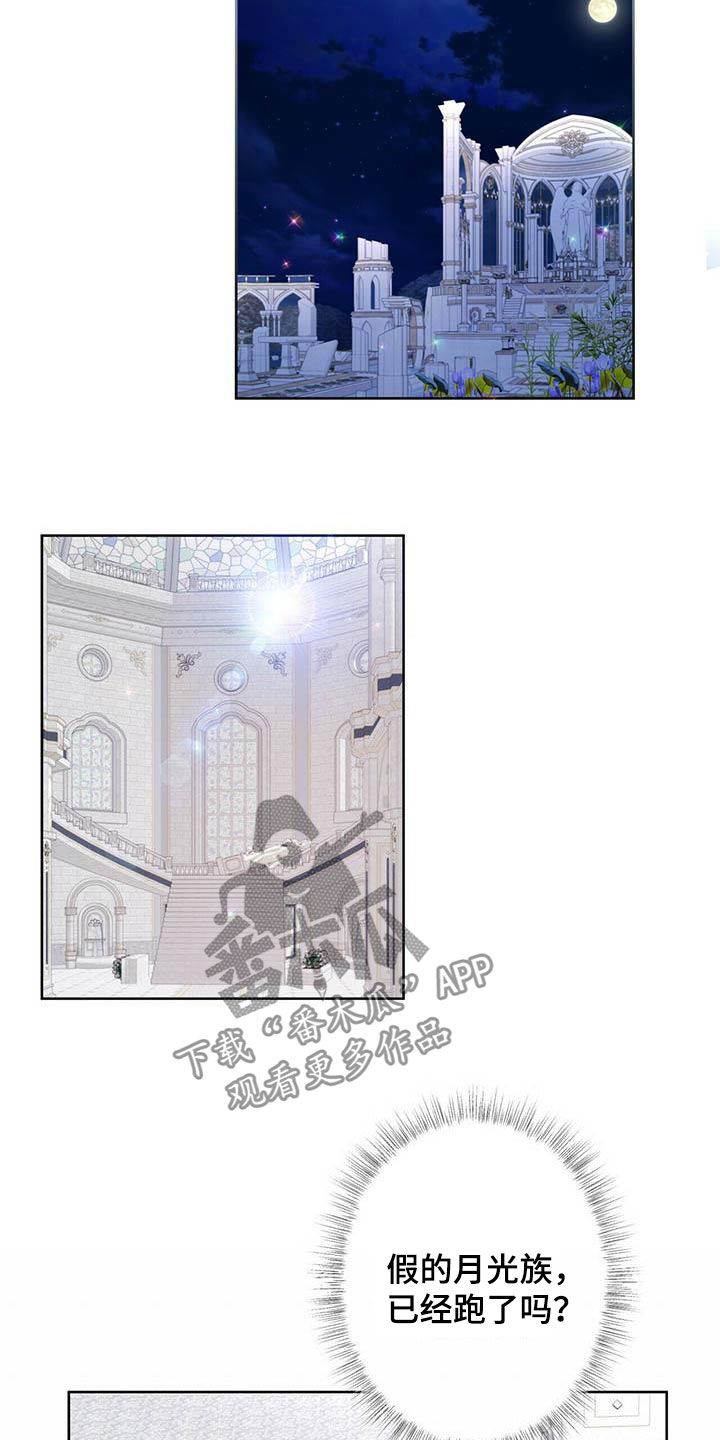 第137话11