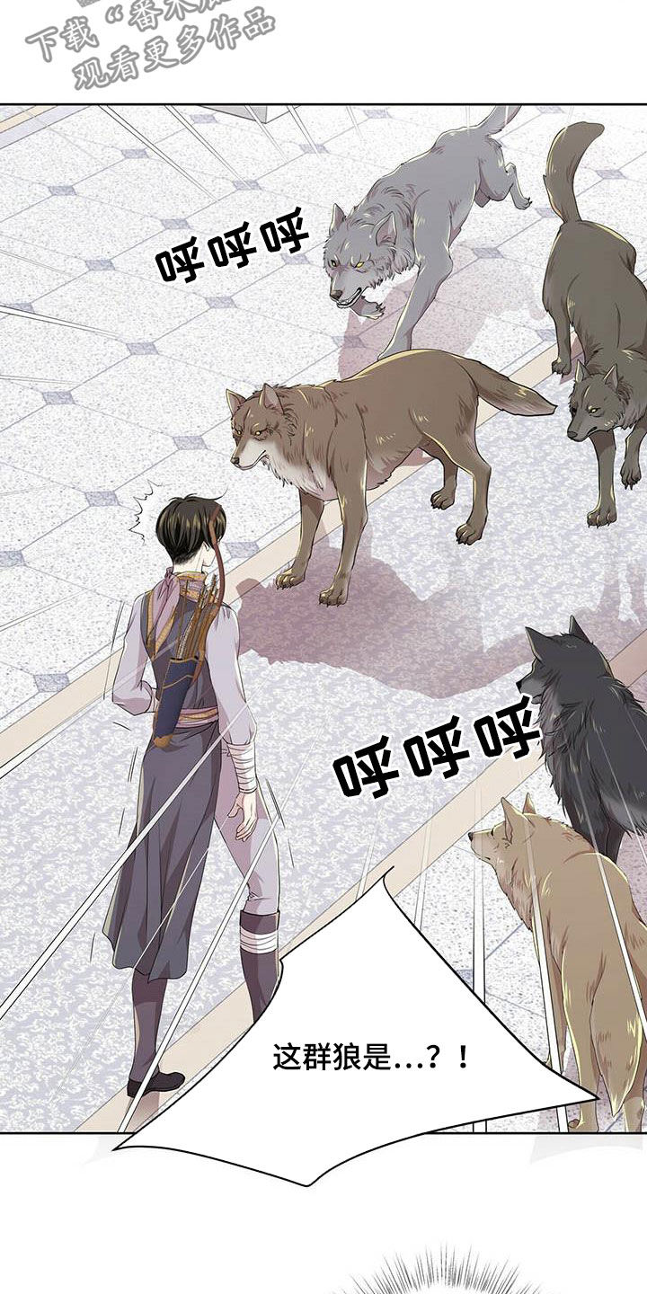 第137话15
