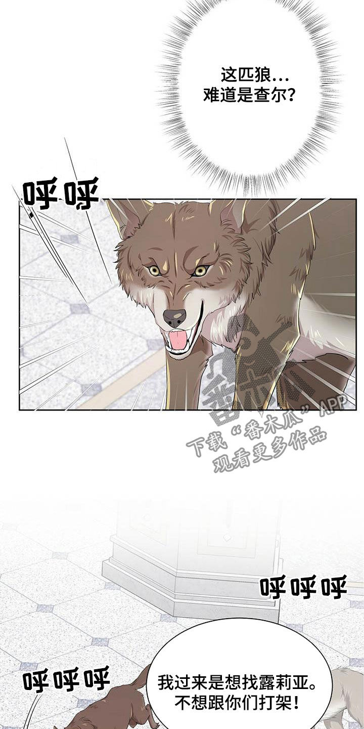 第137话16