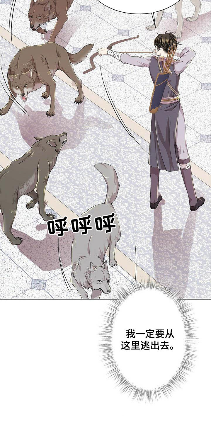 第137话17