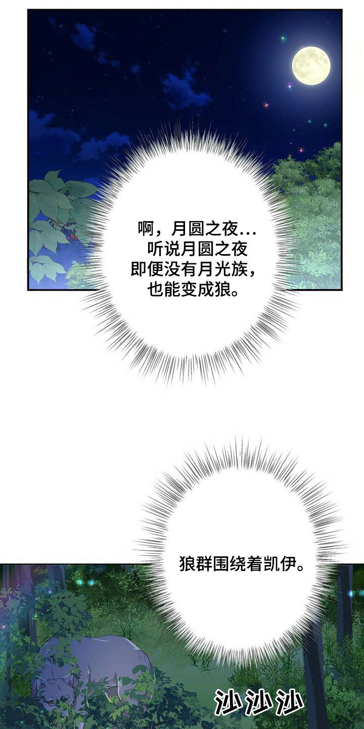 第137话3