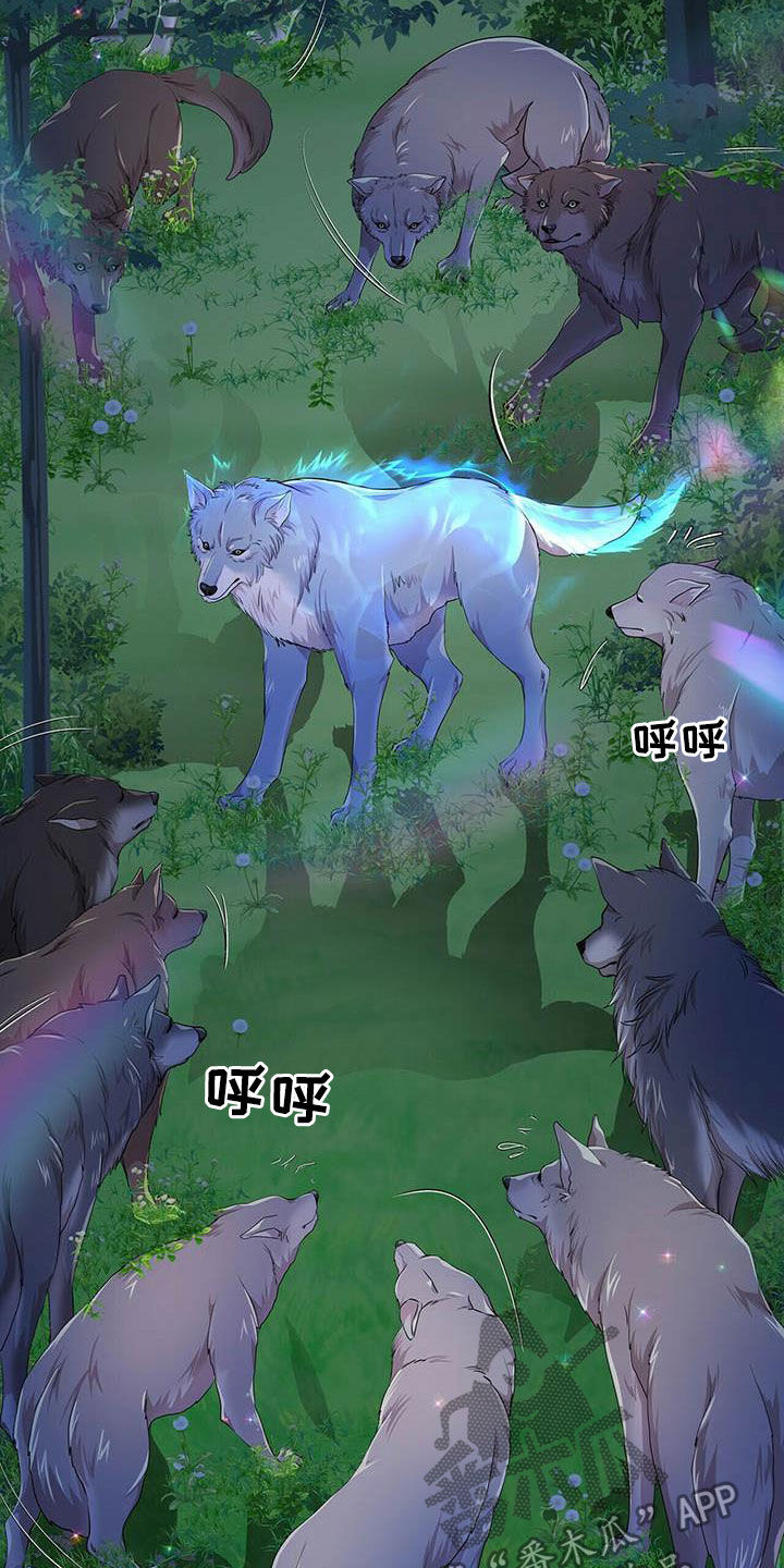 第137话4