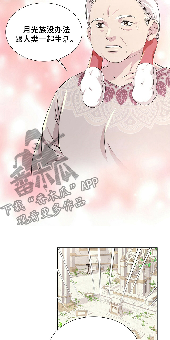 第126话6