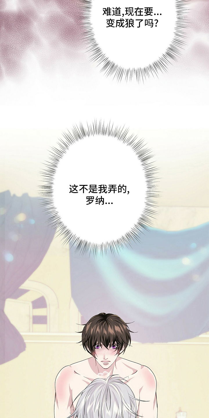 第117话1