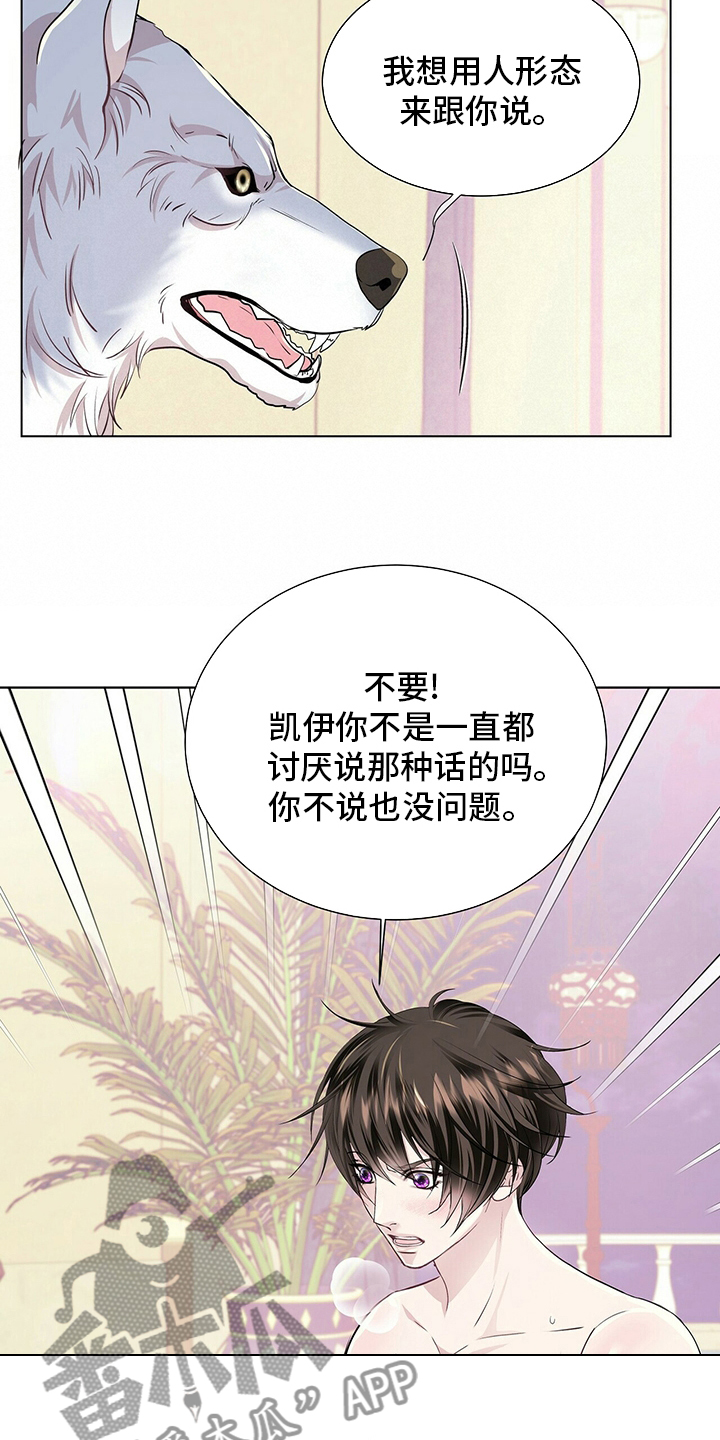 第117话12