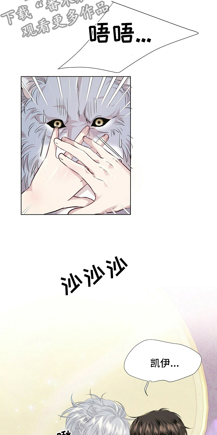 第117话13