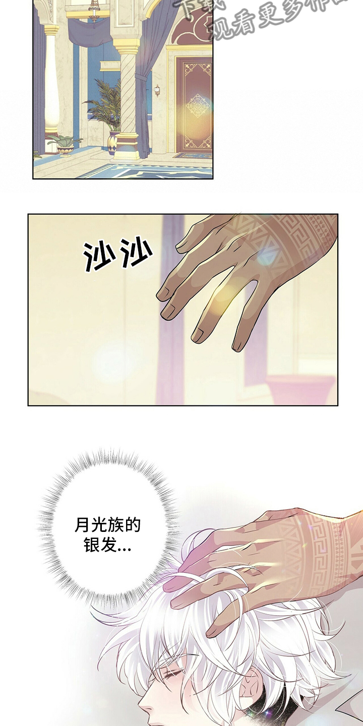 第117话16