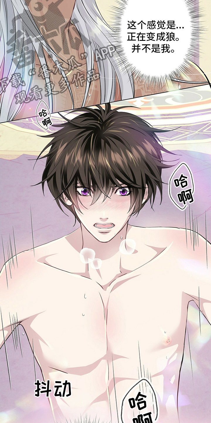 第117话3