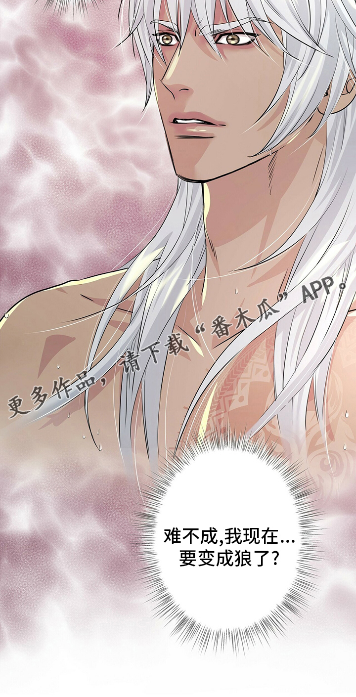 第116话13