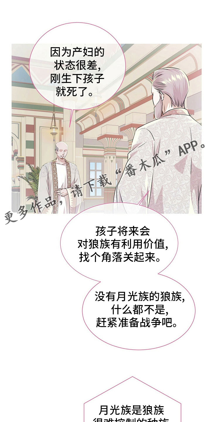 第113话0