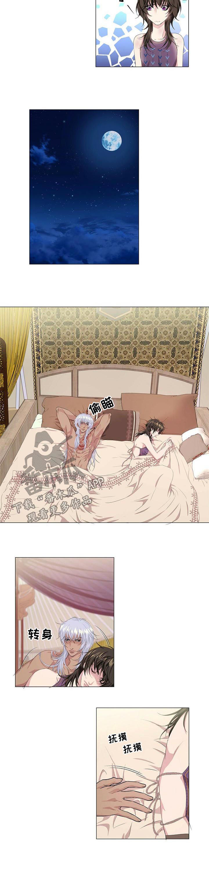 第50话7