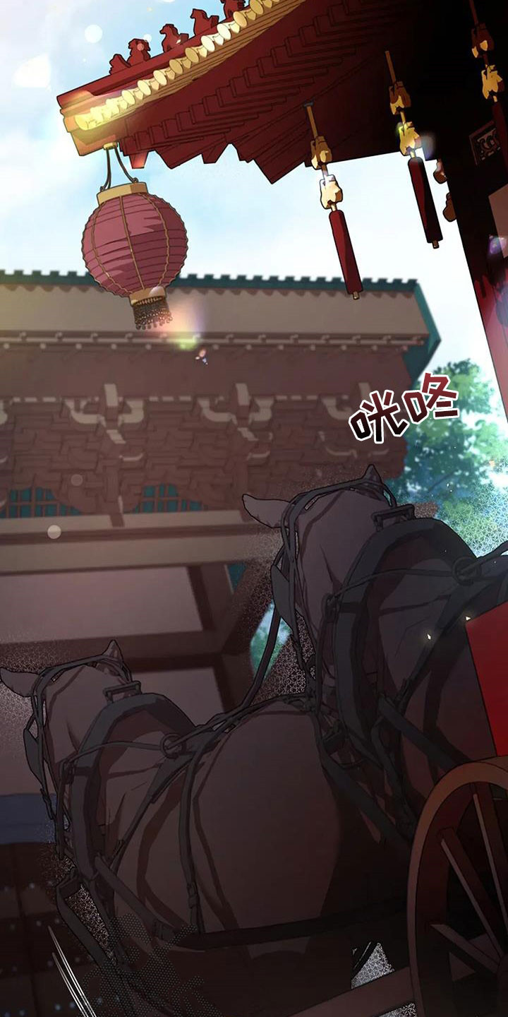 第213话17