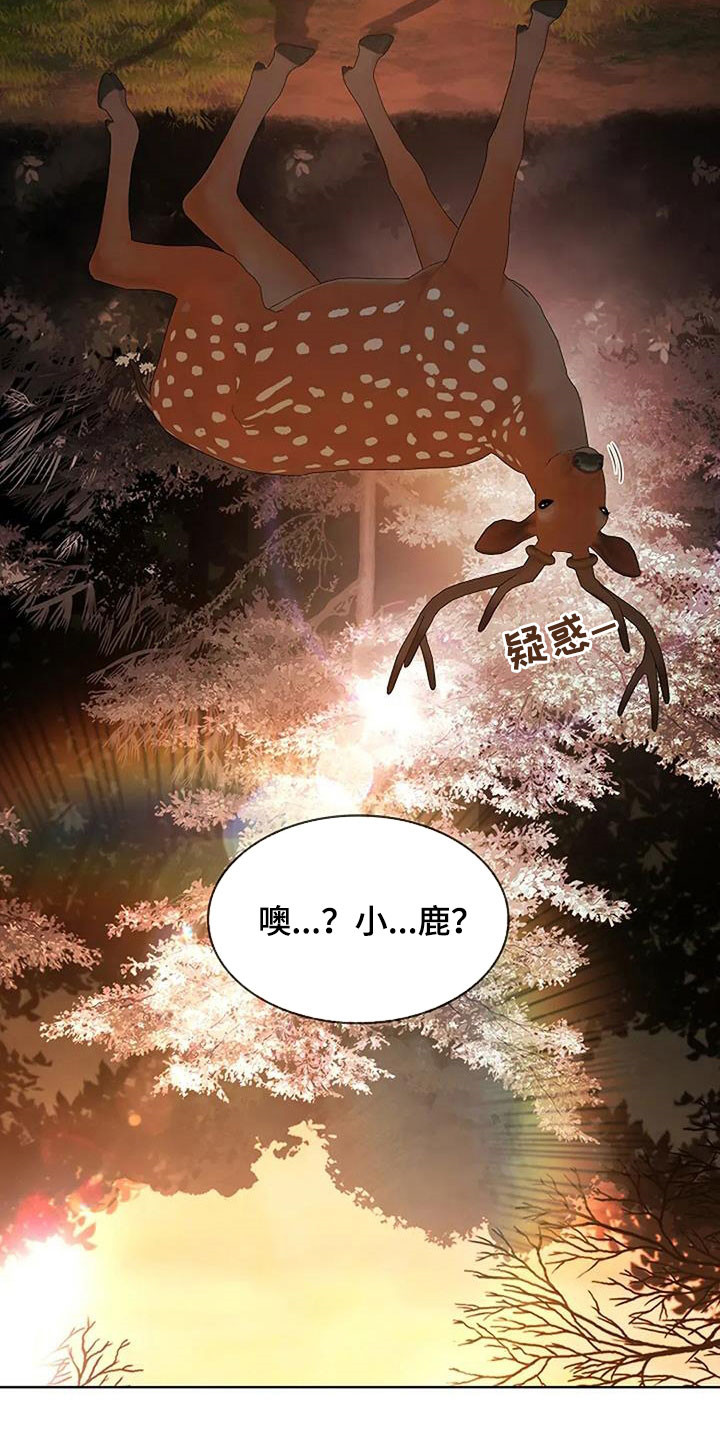 第212话6