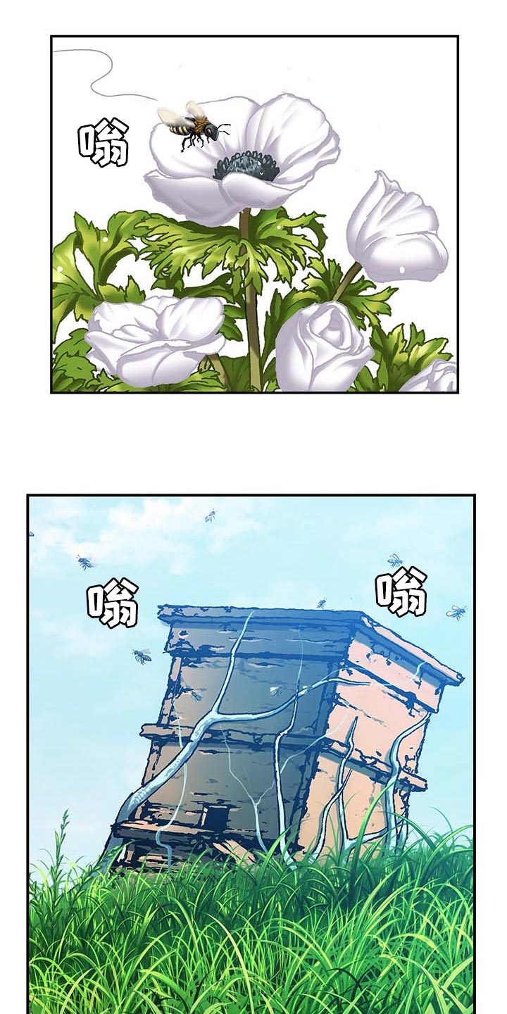 第308话11